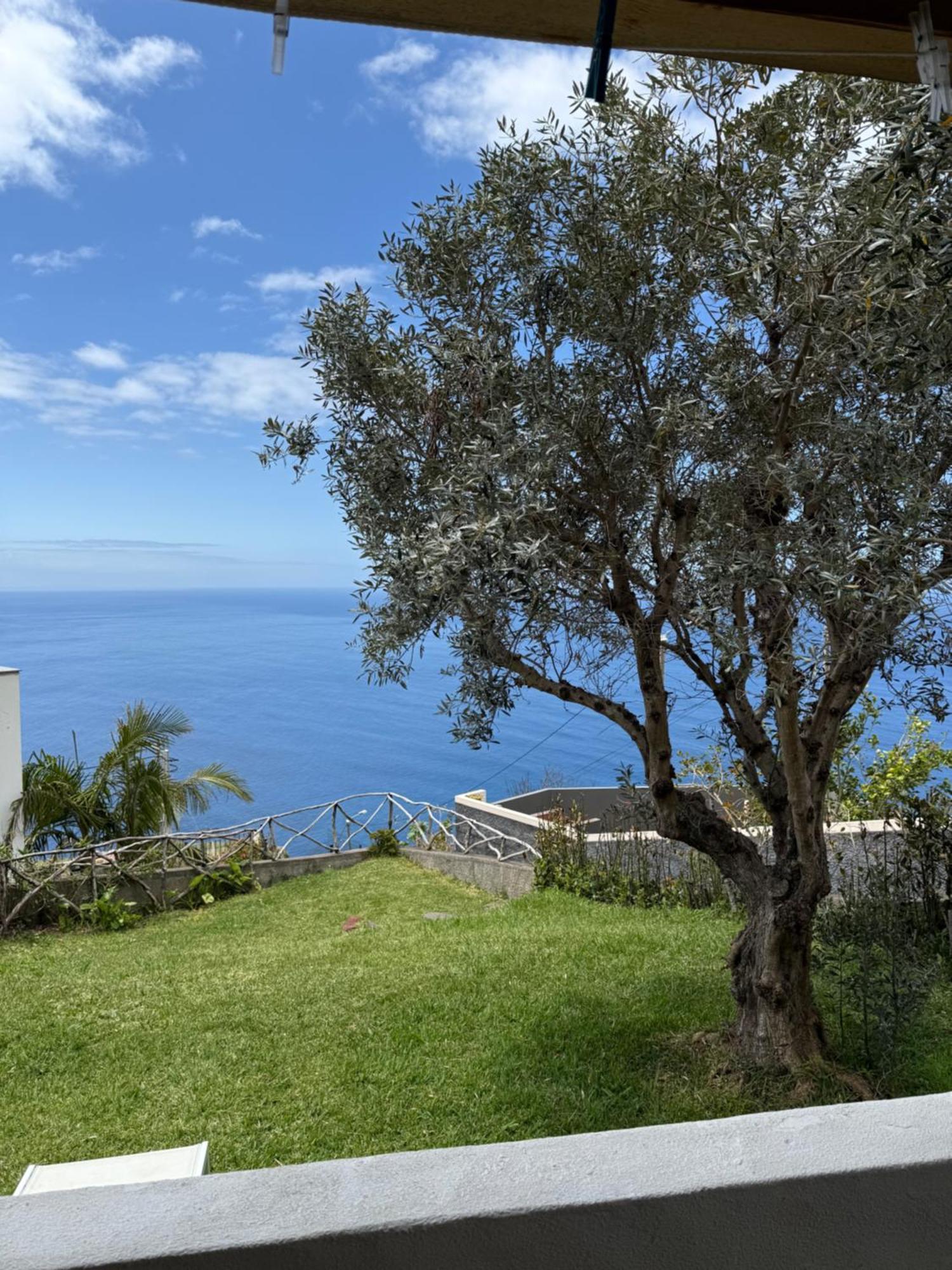 칼례타 Cozy Sea View House Faja Da Ovelha 빌라 외부 사진